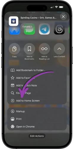 SpinDog rew add to home screen